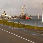 Lively In