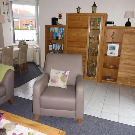 Lively In Apartment *